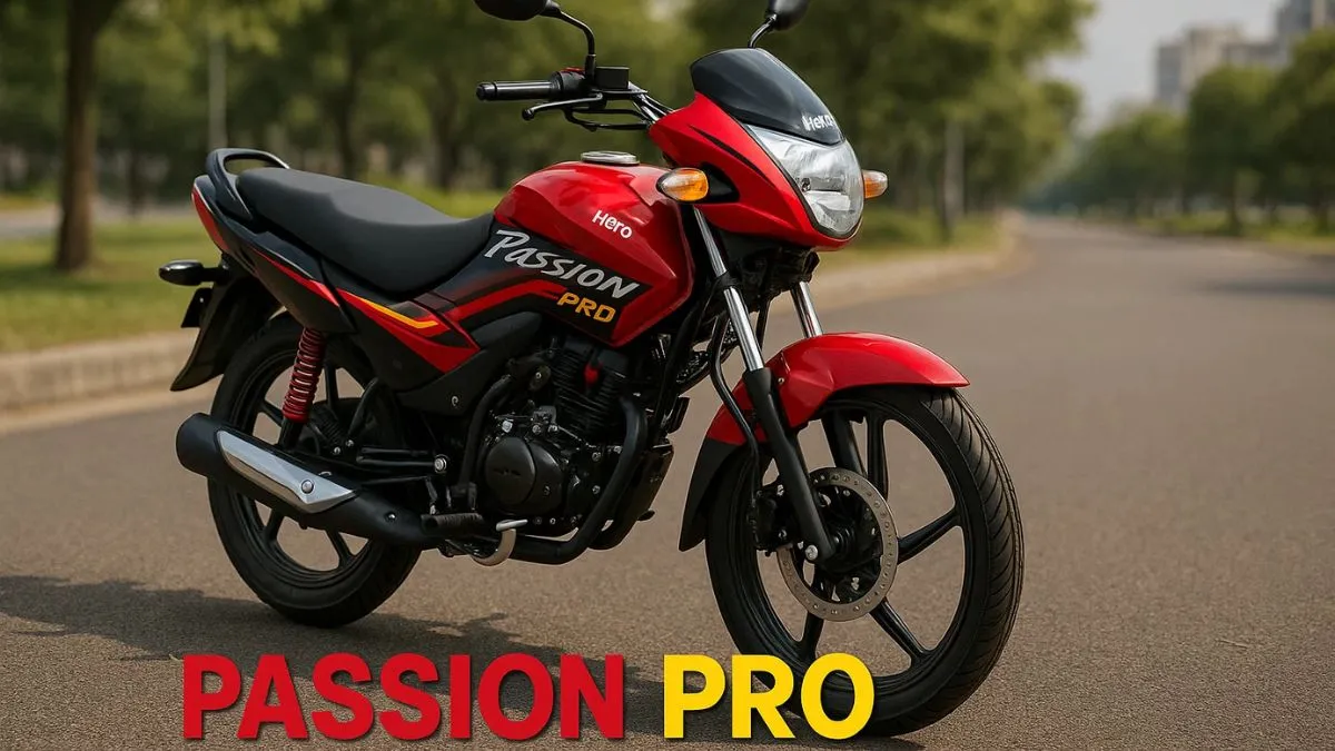 Hero Passion Pro